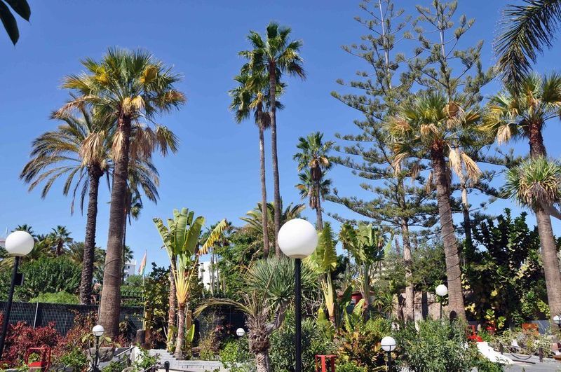 מלון פלאייה דל אינגלז San Valentin & Terraflor Park מראה חיצוני תמונה