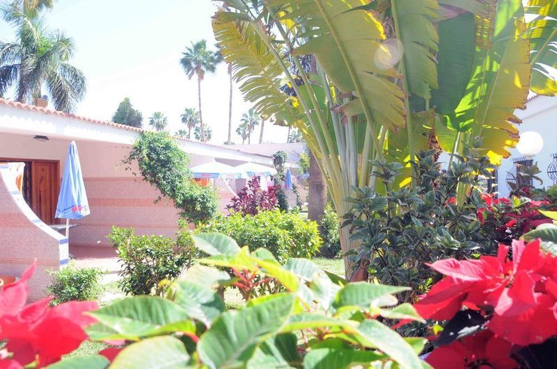מלון פלאייה דל אינגלז San Valentin & Terraflor Park מראה חיצוני תמונה